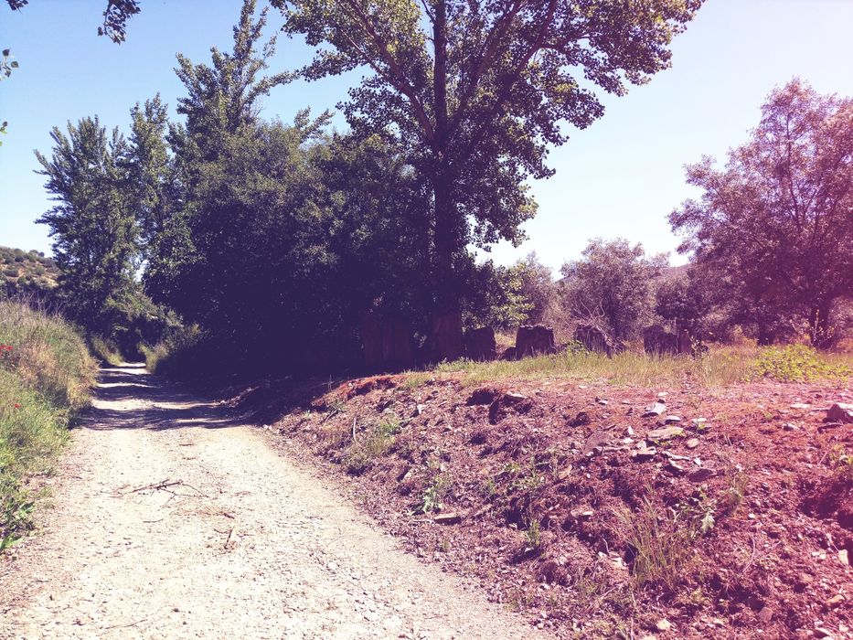 Quintinha com 3,2Ha - permuto