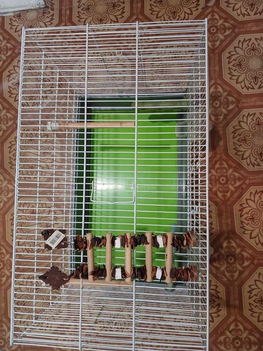 Просторная и Уютная Клетка для Вашего Пернатого Друга!