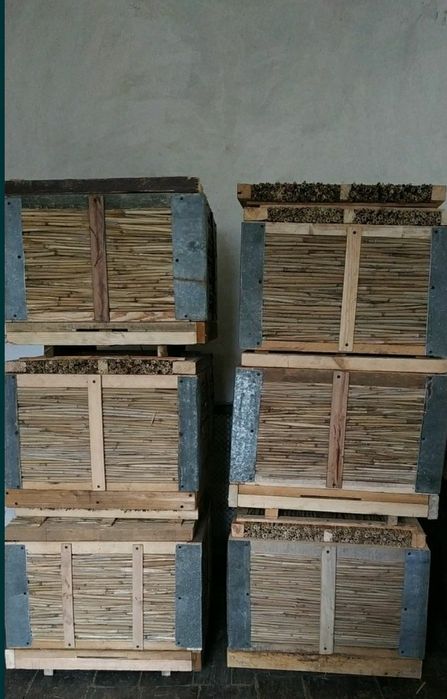 Корпуси з камишa.