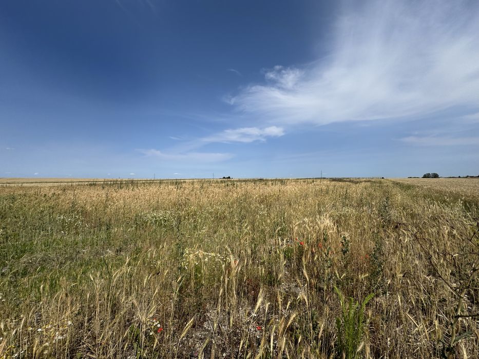Działka widokowa w Białowoli - Widok 3