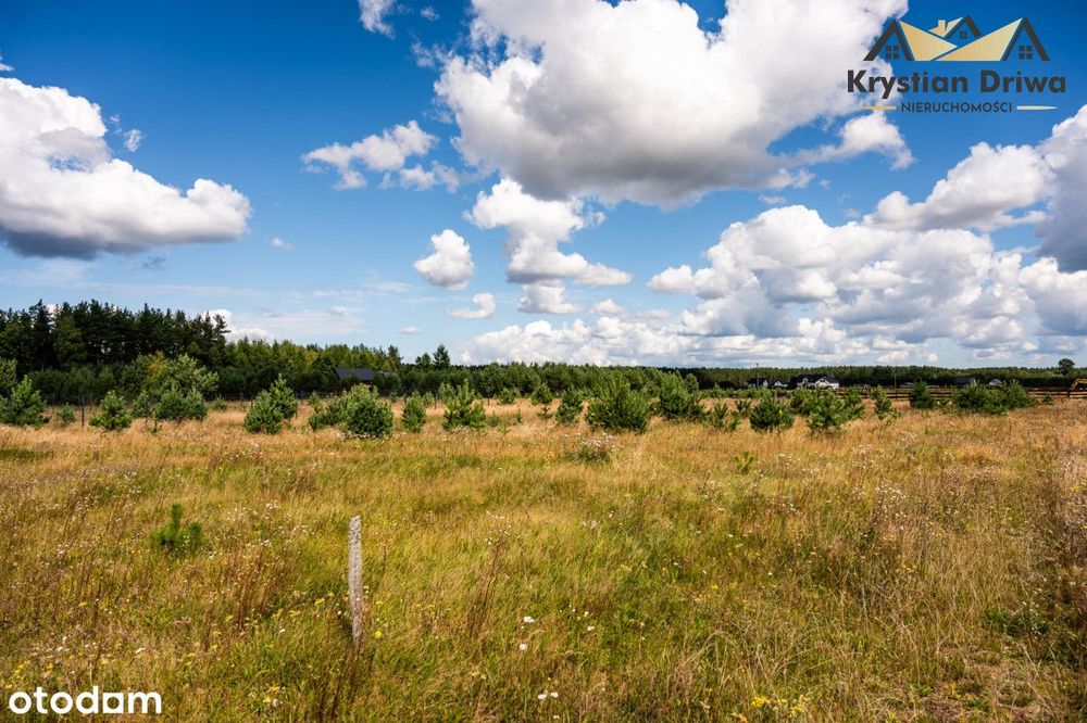 Działka budowlana w Załakowie, gm. Sierakowice ! - Widok 5