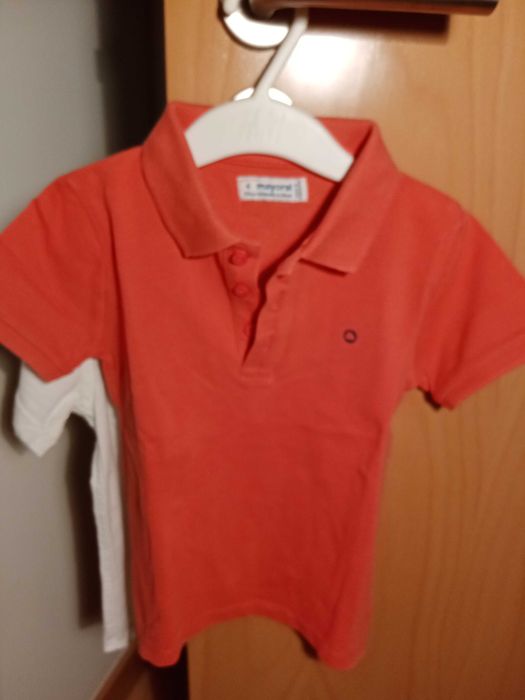 Conjunto de dois polos.