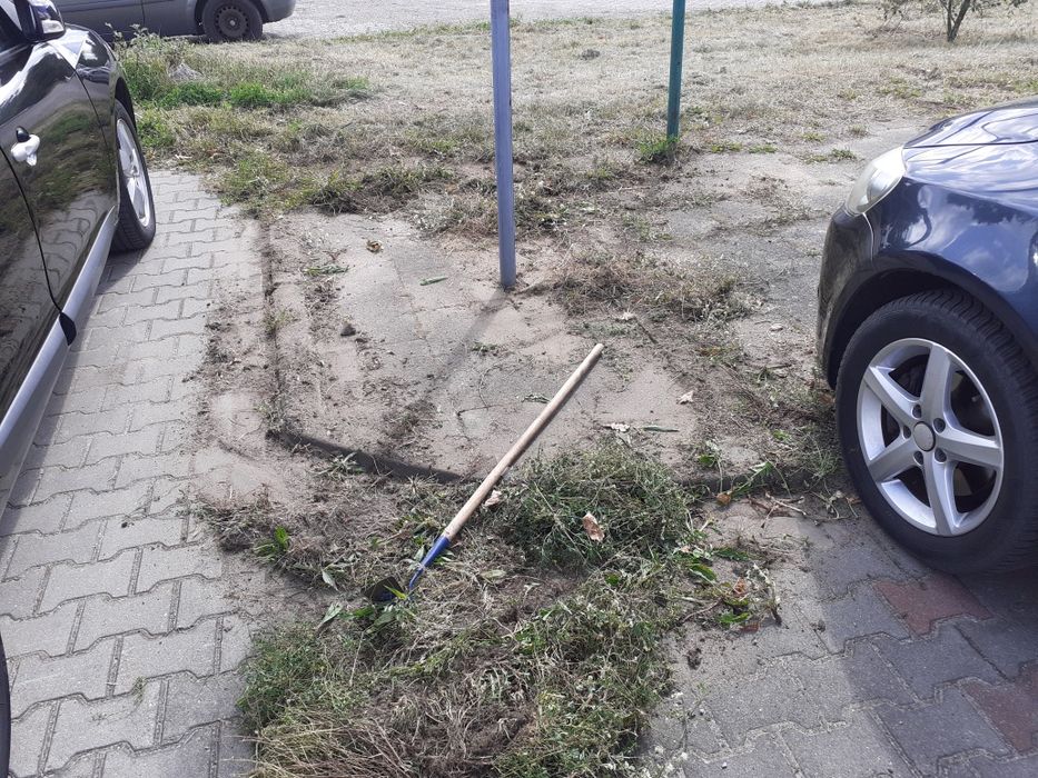 Usługi Ogrodnicze
