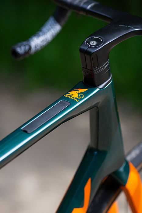 RIDLEY GRIFN – XL – CUSTOM PAINT – 8,25 kg – stan idealny
