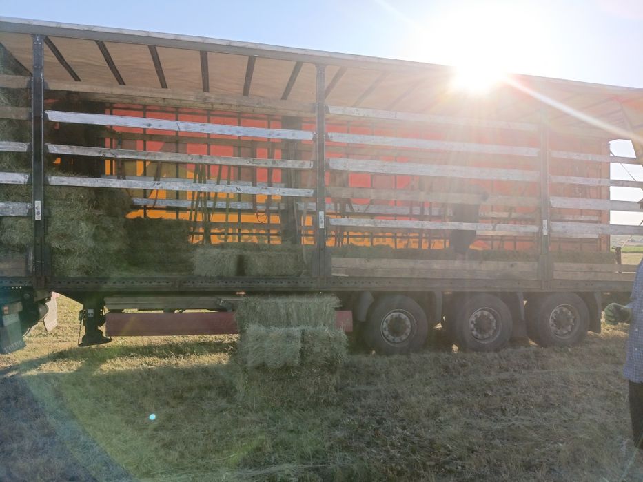 Продаю сено разнотравье большой обьем