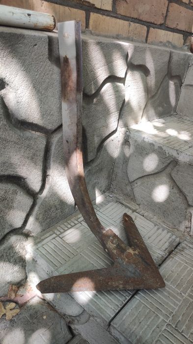 Плоскоріз- пропольник