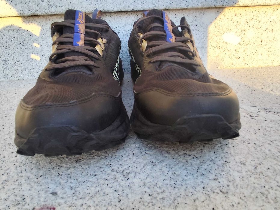 Asics Gel-Sonoma 8 GTX
