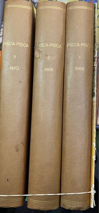 Pisca-Pisca completo