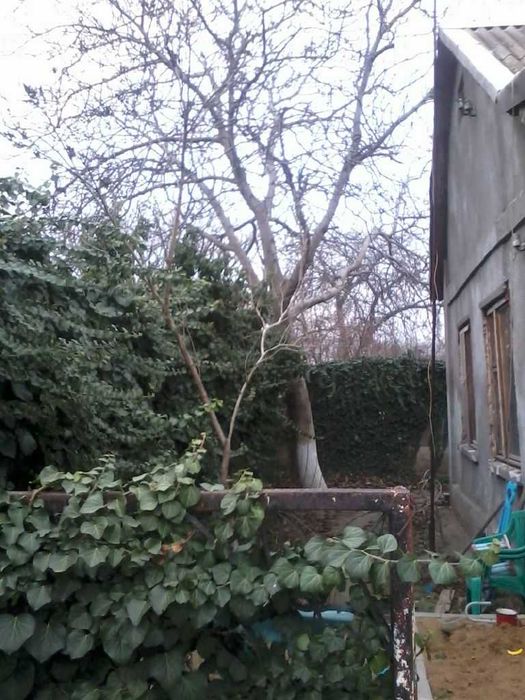 Будинок за адресою (площа 70 м²) - Atlanta.ua - фото 6