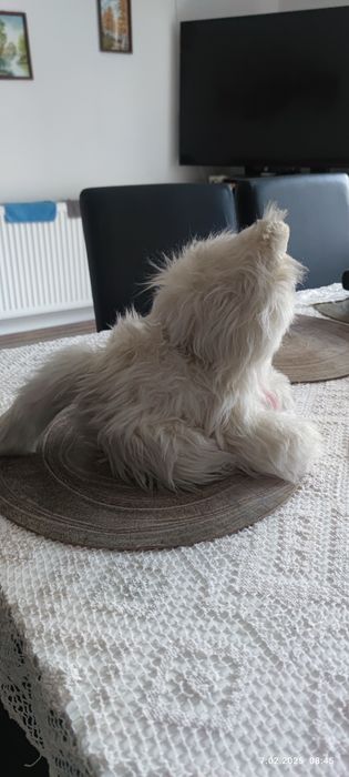 Pluszowy kot z okresu PRL