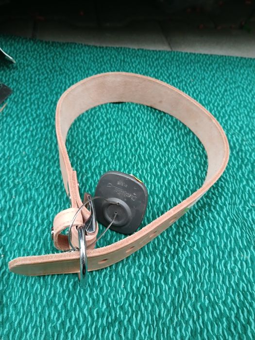 Obroża dla psa das lederband