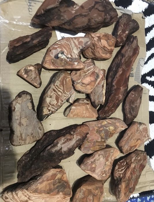 Кора. Кора для орхідей. Мох. Суміш кори і моху