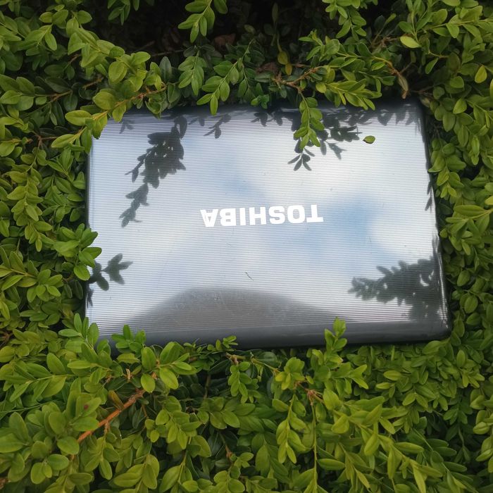 Ноутбук Toshiba Satellite