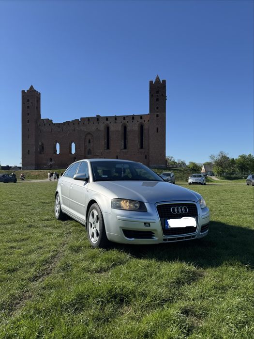 ***Audi A3 8P 1.9 TDI***