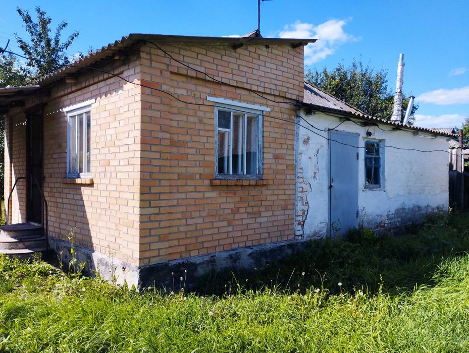 Продаю будинок в селі Северинівка Таращанського району