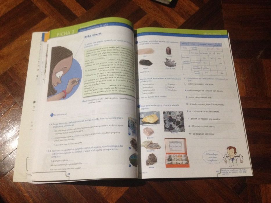 Cadernos de Revisão 7ºano