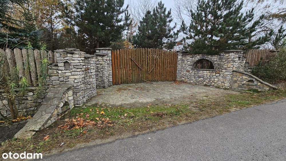 Działka 21900 m² - Widok 2