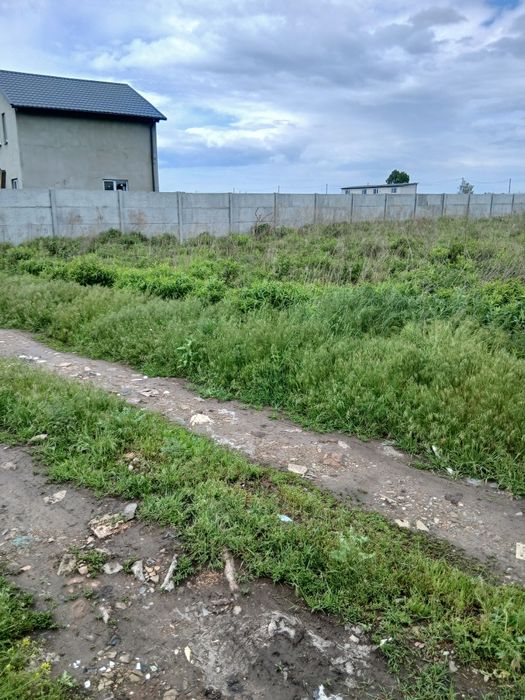 Ділянка 6 сотих  СУПЕР ЦІНА село  Петропавлівське Бори