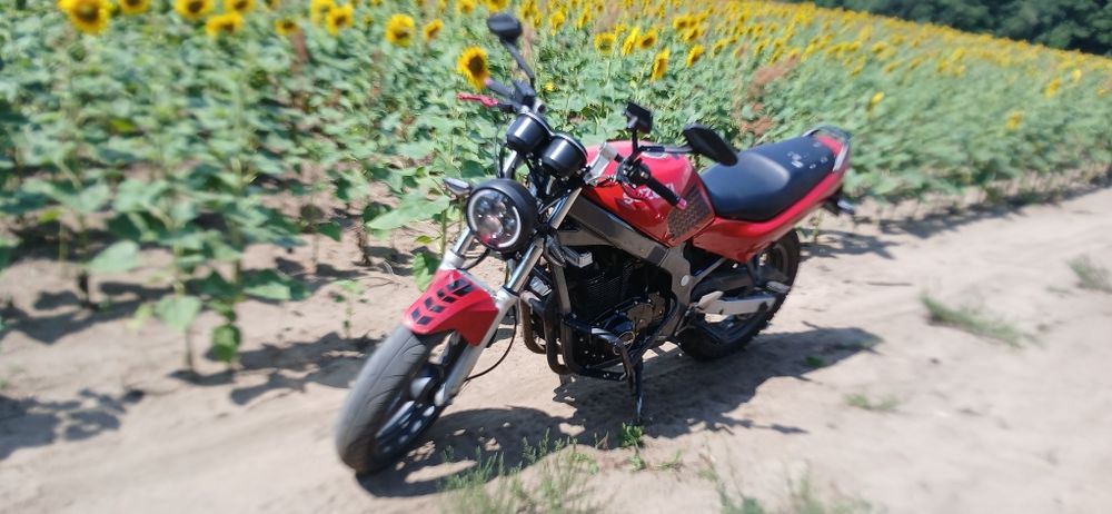 Продам надійного і простого конека .
