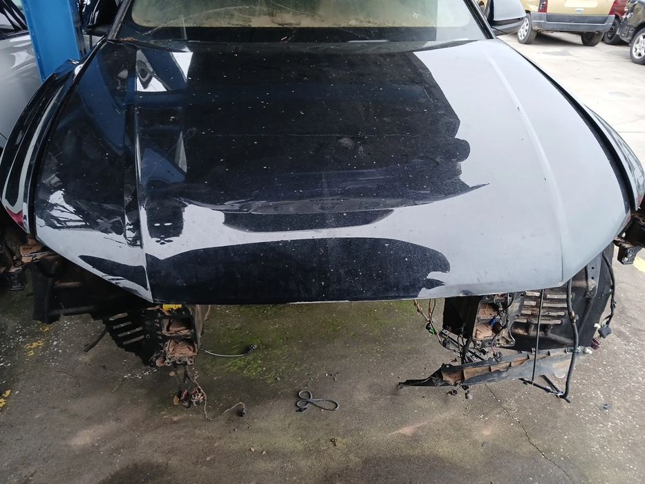 Capot AUDI Q8 (4MN)