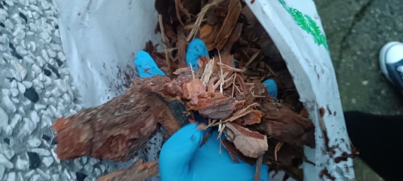 Kora sosnowa frakcja średnia
