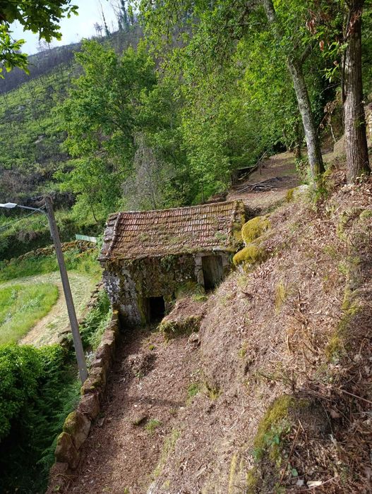 Palheiro em pedra com terreno