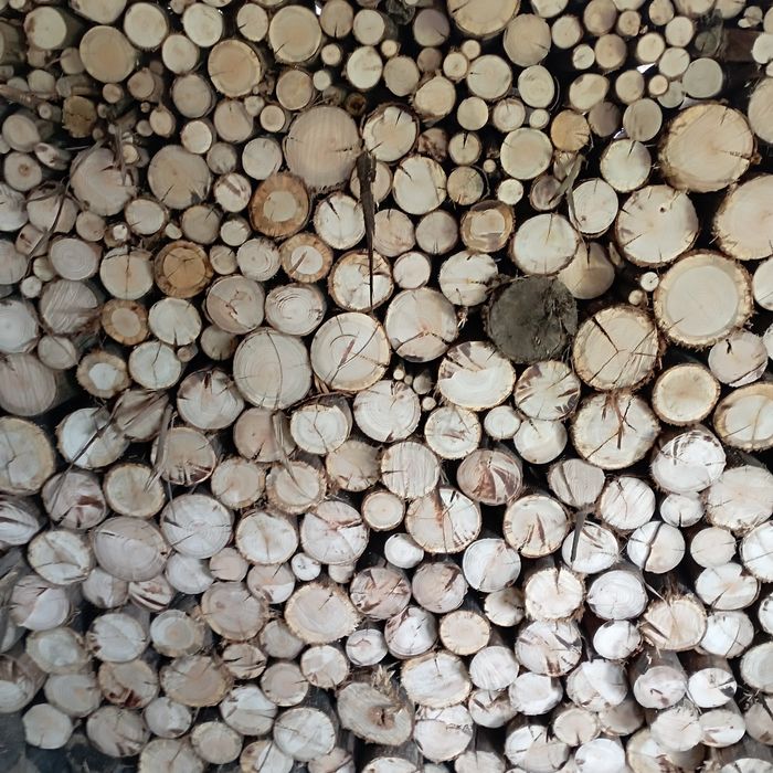 Lenha eucalipto  premium   12%humidade +/-