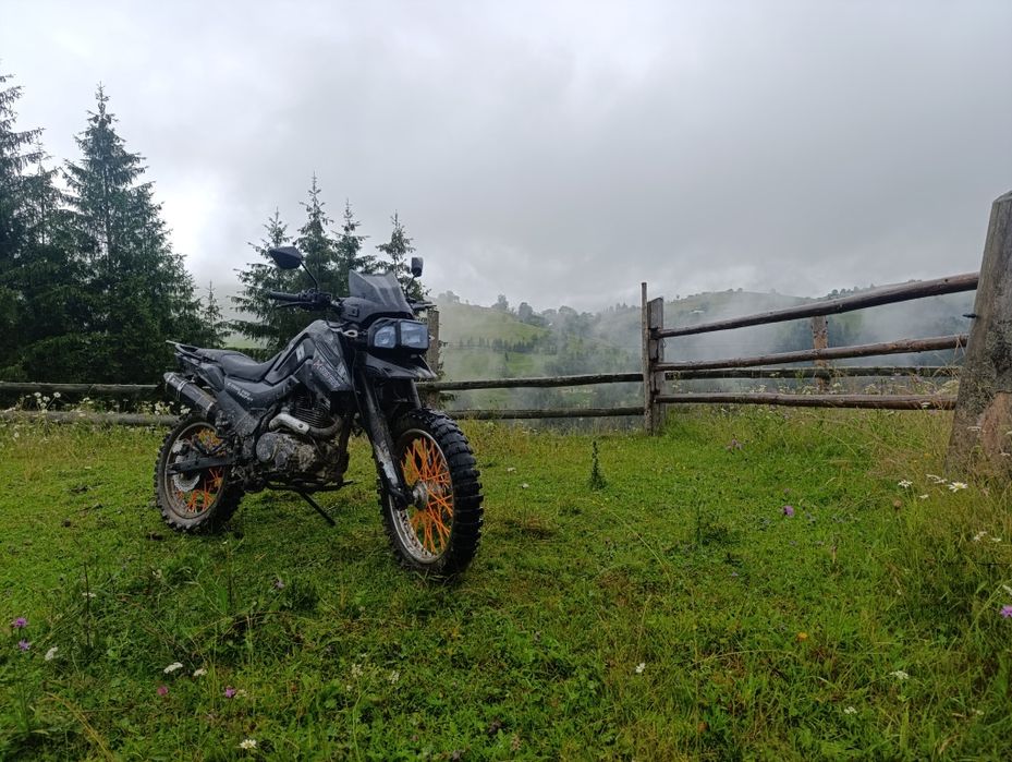 SH/NERAY x–trail 250 yrophy