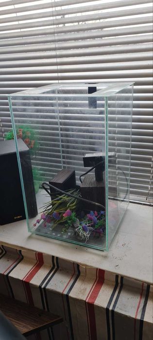 aquarium fluval chi аквариум флувал чи 24 л +прикалухи в комплекте. Мини аквариум с фильтром и светом бу дизайн дзен, декорации грот туф рыбк