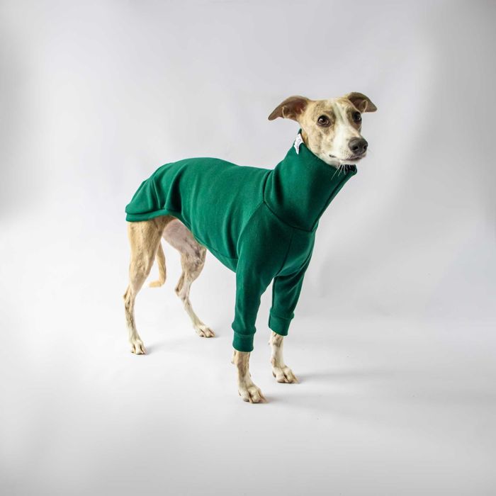 Sweterek golfik na pieska, charta, charcika, whippeta