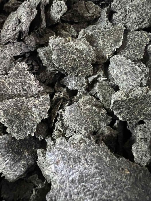 Макуха соняшникова