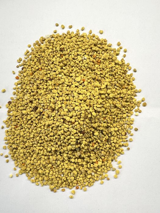 Pyłek kwiatowy  2025  ZWŁASNEJ PASIEKI - 500 g