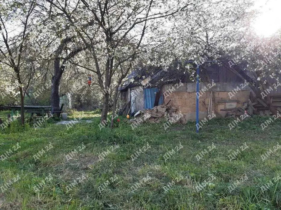 Власне подвір'я на Леваді