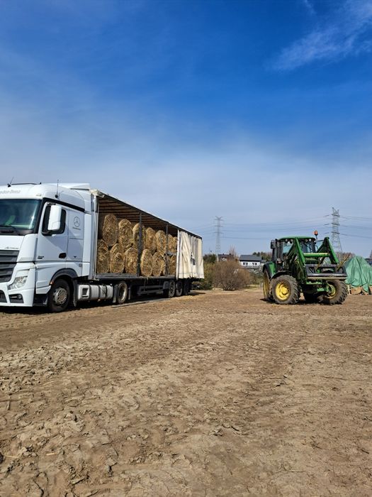 Siano w balotach 100% suche z transportem dobra jakość stałe dostawy