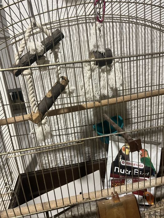 Gaiola para aves