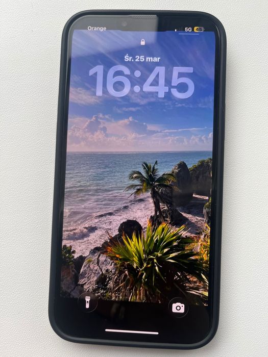 Iphone 13 pro max 256 gb