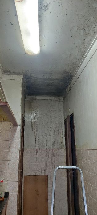 Limpeza e Organização Profissional | Com Carro Próprio