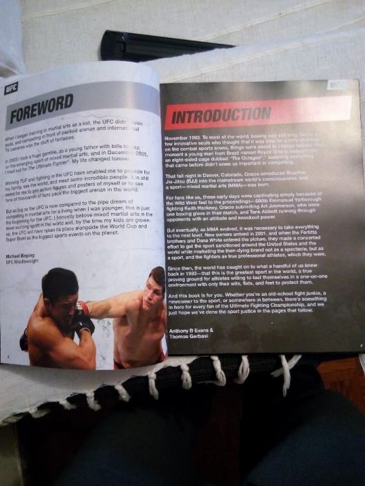 UFC fan guide