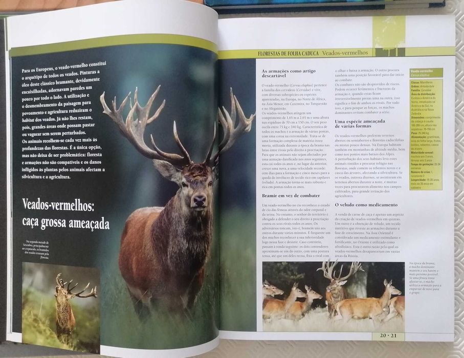 Coleção Livros "Paraísos Animais" - Circulo de Leitores