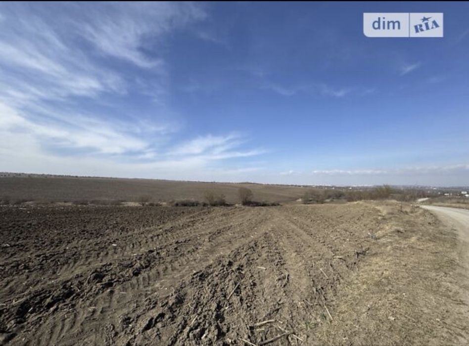 Фото ділянки