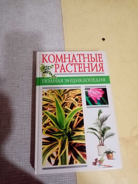 Комнатные растения