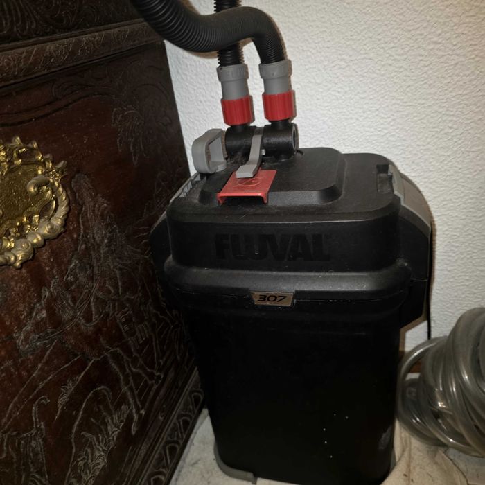 Aquário/ Terrário + Fluval 307
