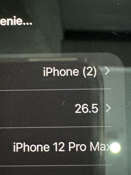 IPhone 12 pro max
