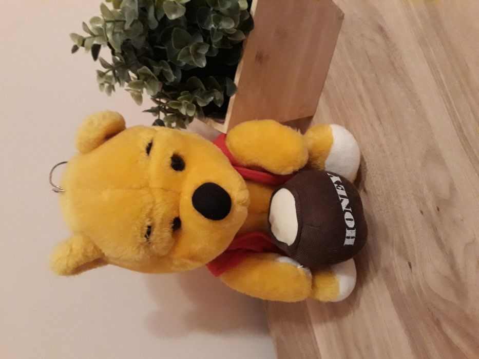 Kubuś Puchate i przyjaciele