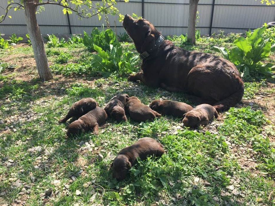 Найулюбленіші малюки!!!