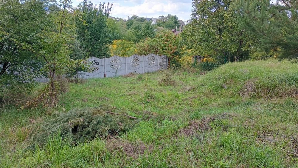 Продаж 6 соток, Зарванці