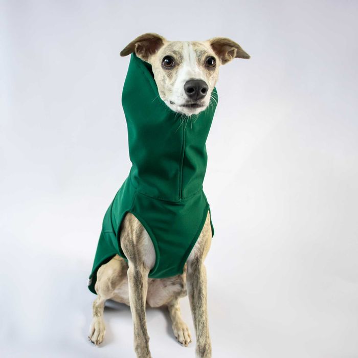 Kurtka Softshell na pieska, whippeta, charta, charcika albo na wymiar