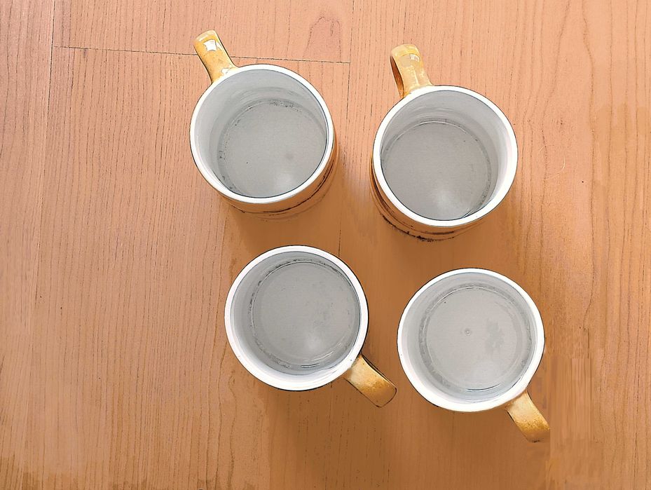 4 canecas talvez SECLA
