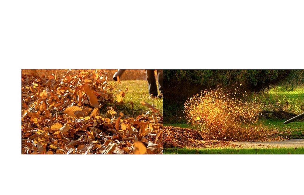 Dmuchawa spalinowa do liści, kurzu, śniegu...