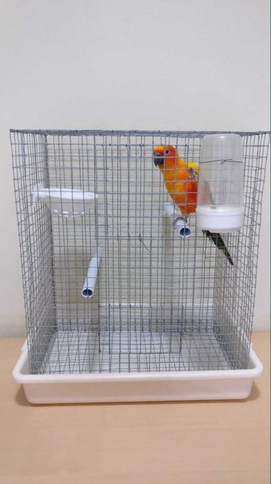 Acessórios e gaiola para aves